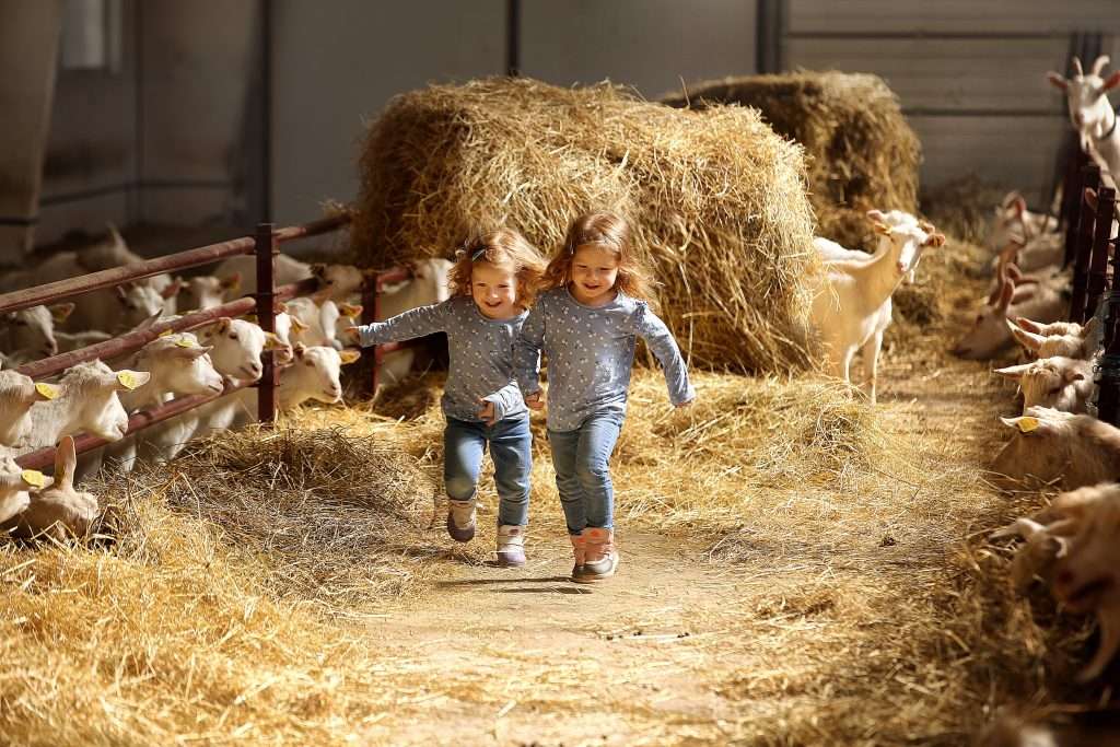 7 domacinstava u okolici zagreba