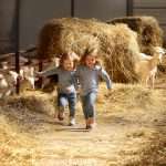 7 domacinstava u okolici zagreba